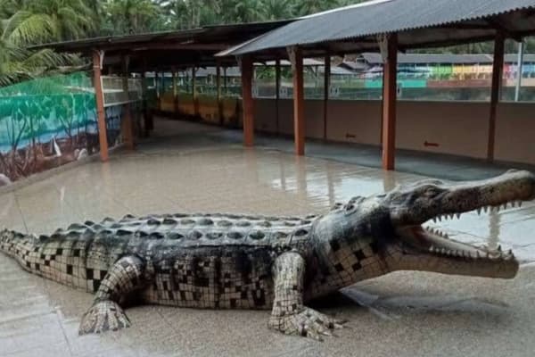 Teluk Sengat Crocodile Farm